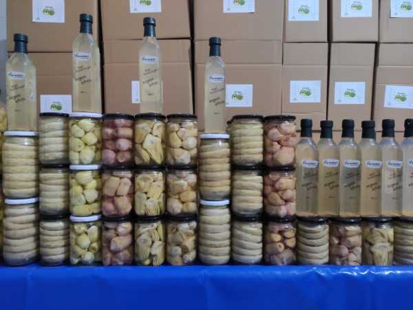 660 gr Parça Çanak Enginar