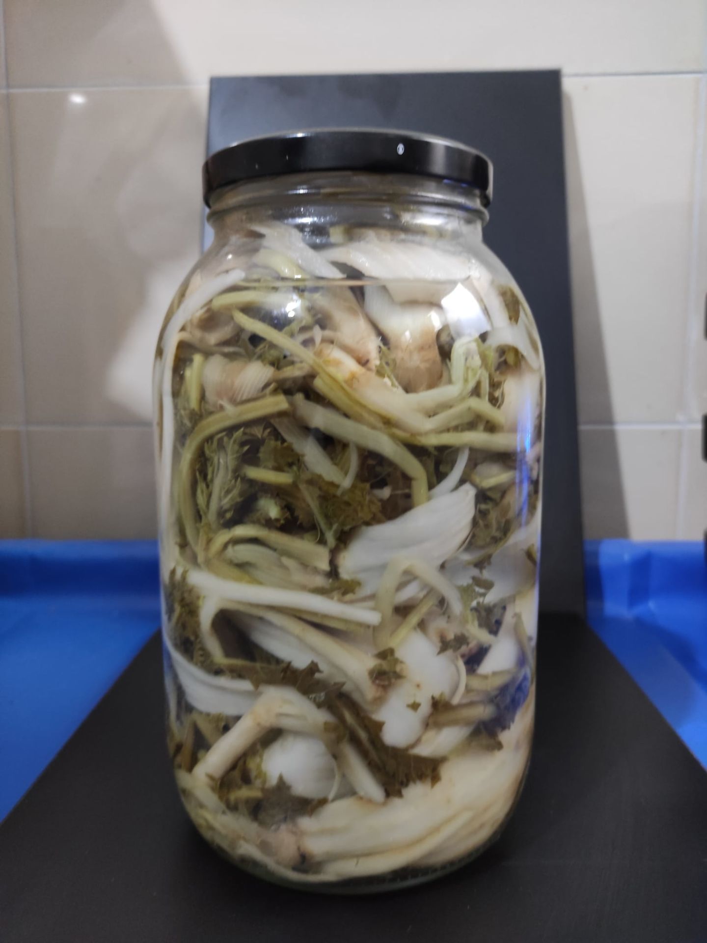 3000cc Şevket-i Bostan