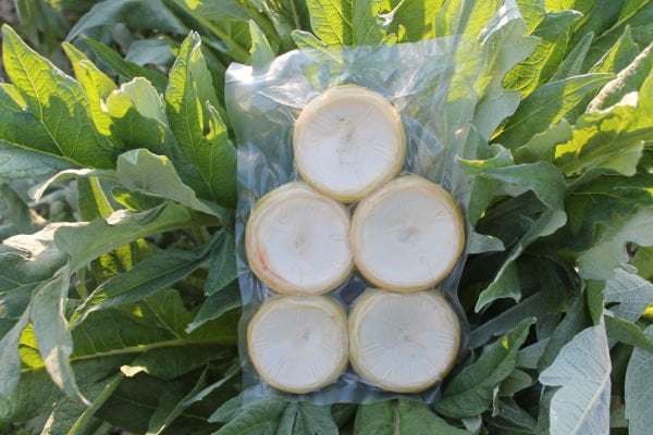 Taze Çanak Enginar  Büyük boy VAKUMLU