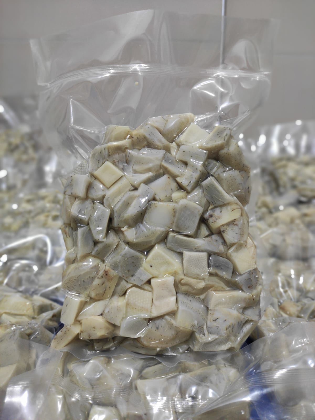 Yemeklik Parça Çanak enginar