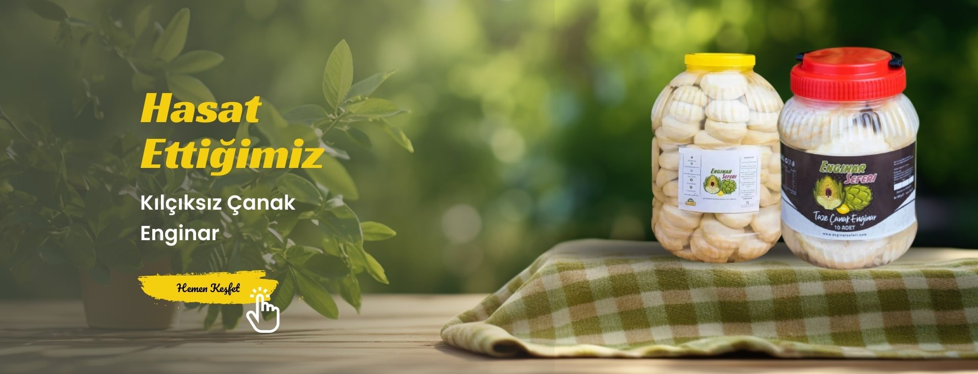 https://www.enginarseferi.com/kategori/taze-canak-enginar