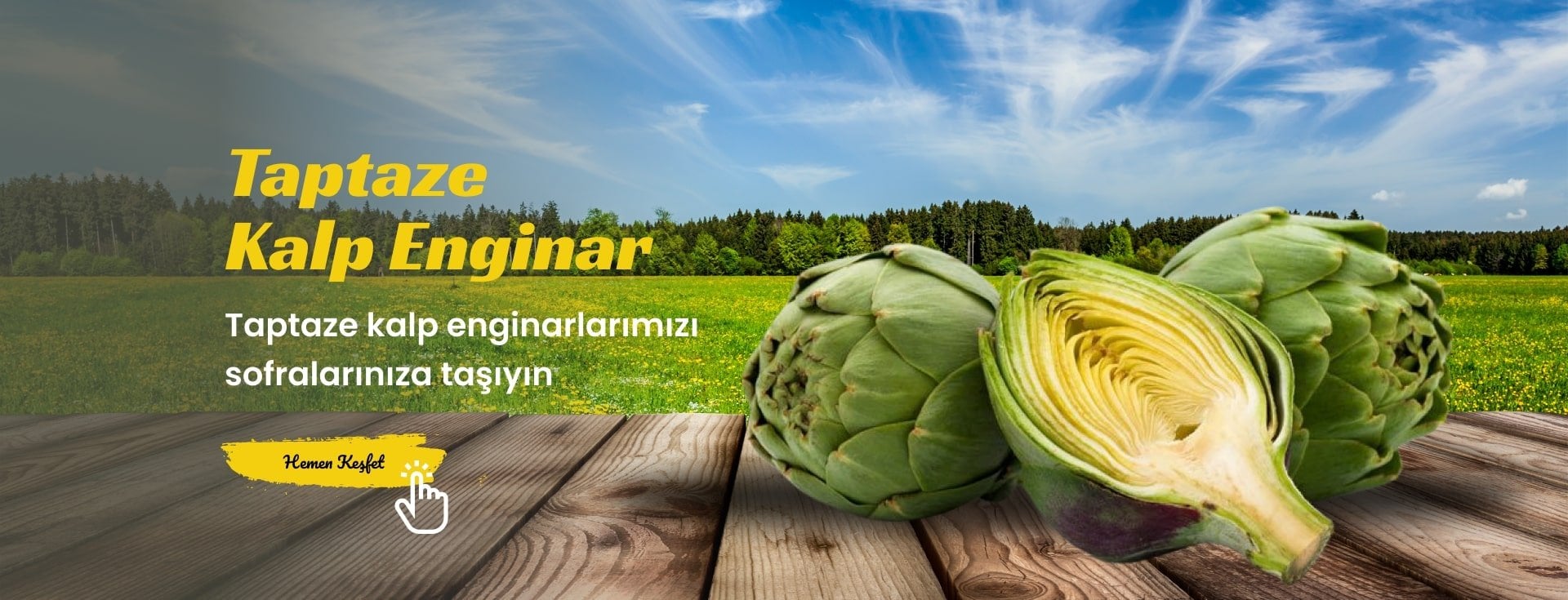 https://www.enginarseferi.com/kategori/taze-yaprakli-enginar
